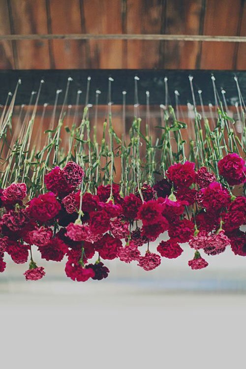 carnation-wedding-flowers